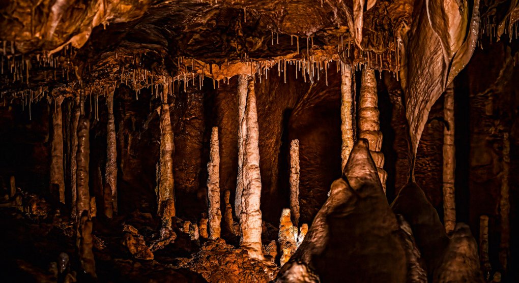 Javoříčské jeskyně: stalaktity, stalagmity a excentrické krápníky rostoucí proti zákonům gravitace