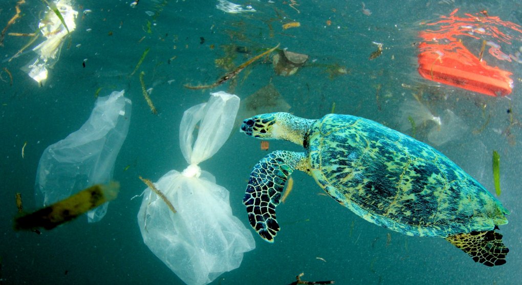 Znečištění plasty a chemií už ohrožuje lidstvo, varují odborníci