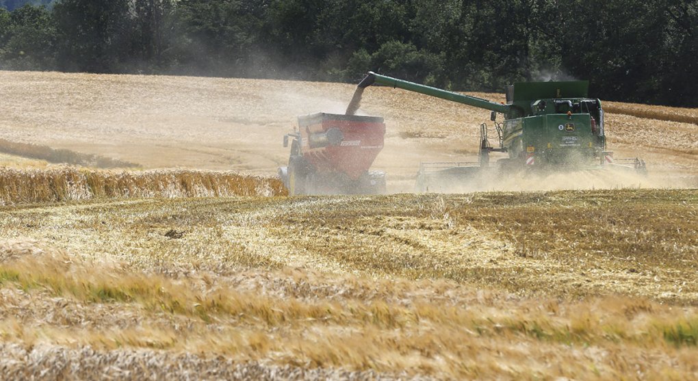 Zbraň, která vyrostla Rusku na poli: Za nízké ceny pšenice může Rusko, ne Ukrajina